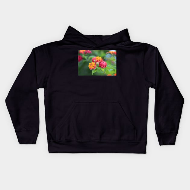 flowers III. summer Kids Hoodie by terezadelpilar